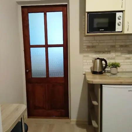 Apartment Comfortable Modern Lviv