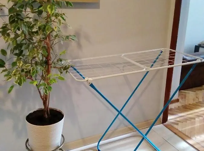 דירה Comfortable Modern לבוב